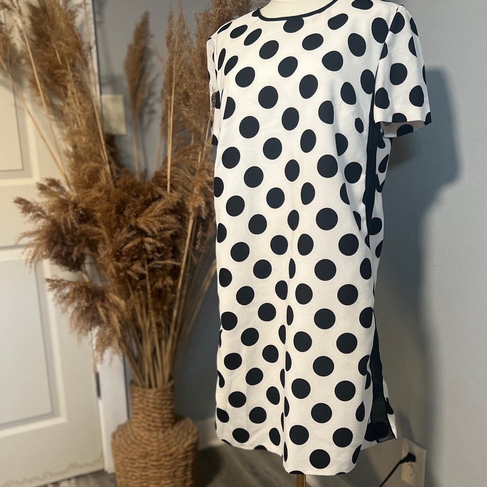 Tahari women’s short sleeve polka Dot Dress